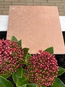 Porcelain Outdoor Paving Apavisa Fire Rosso