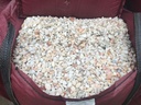 Marble Aggregate Flamingo