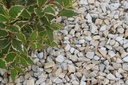 Quartzite Aggregate Gold Donegal Chippings