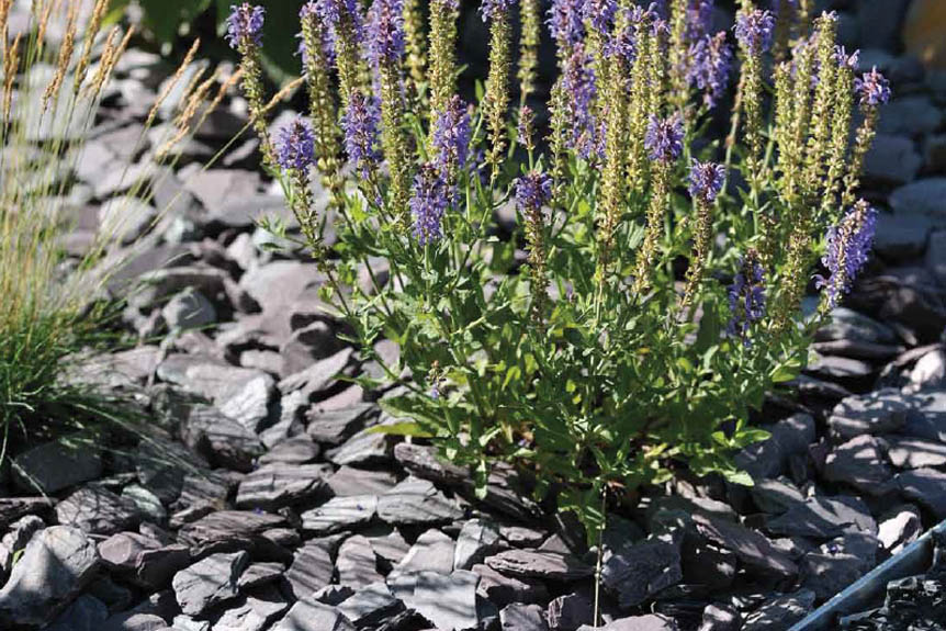 Slate Aggregate Plum Chippings