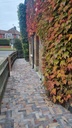 Concrete Pavers MBI Actionline Melange Colore