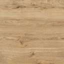 [564] Concrete Outdoor Paving MBI GeoCeramica Wood Look Scottish Oak Porcelain