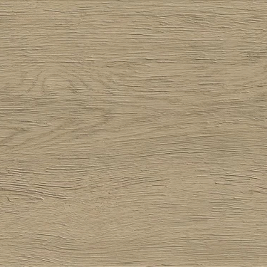 Porcelain Outdoor Paving Atlas Concorde Entice Ash Oak Natural
