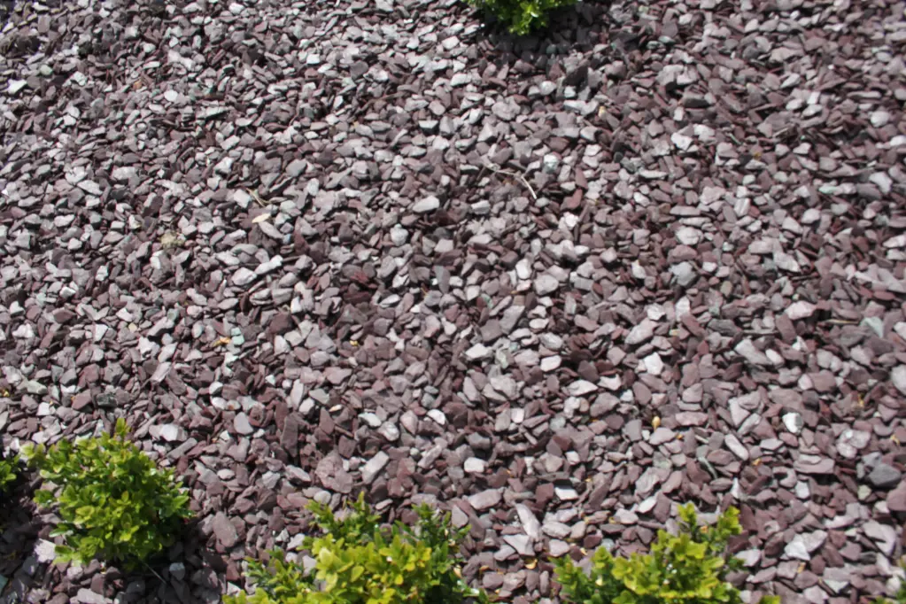 Slate Aggregate Plum Chippings / Mulch