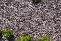 Slate Aggregate Plum Chippings / Mulch
