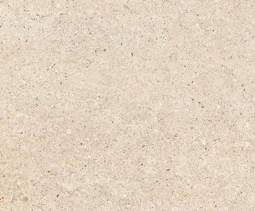 [832] Porcelain Outdoor Paving Apavisa Conceipt Beige